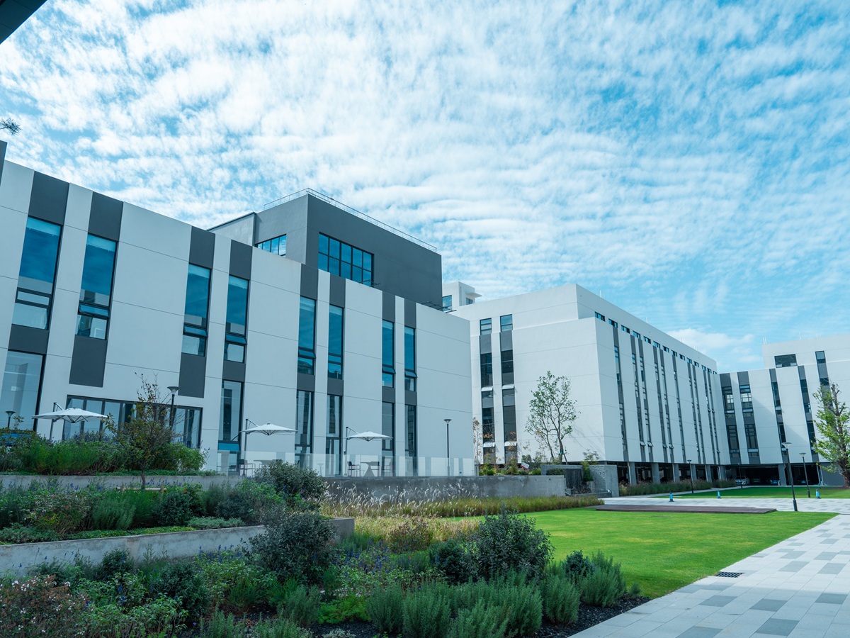 中庭视角 (5).jpg